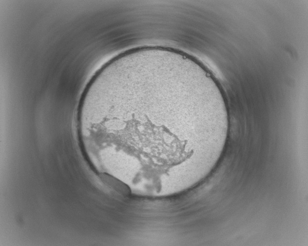 X0000115030895200911231110