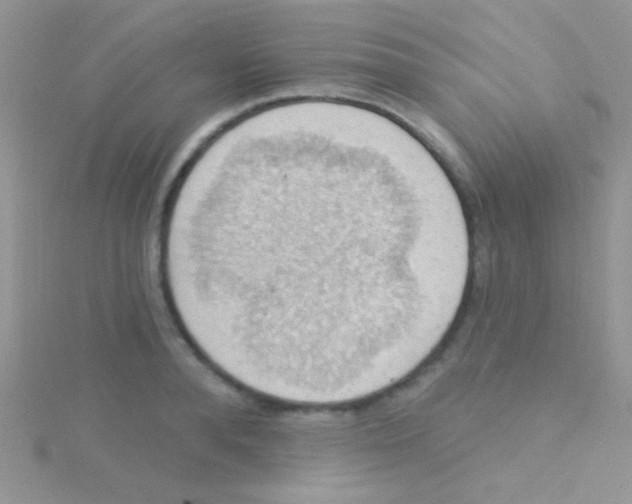 X0000115030896200911231110