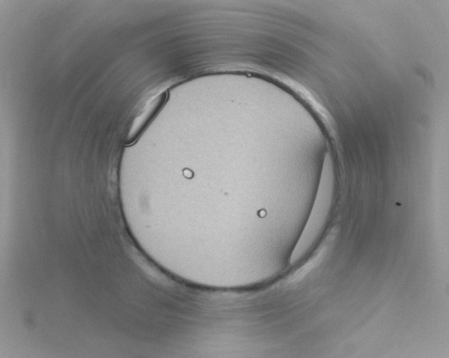 X0000115030897200911231110