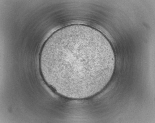 X0000115030898200911231110