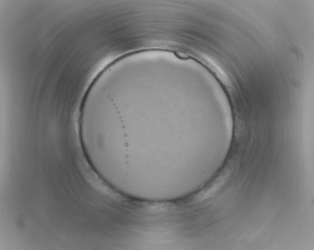 X0000115030899200911231110