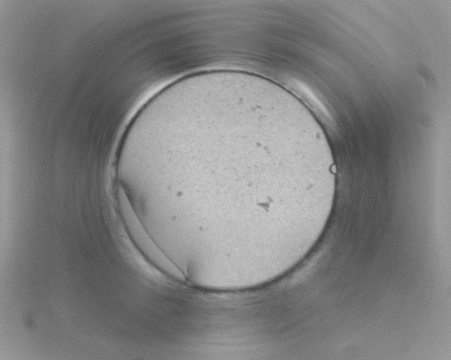 X0000115030900200911231110