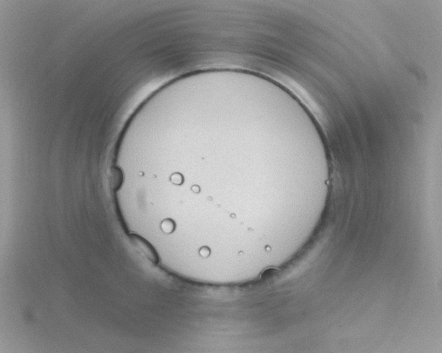 X0000115030901200911231110