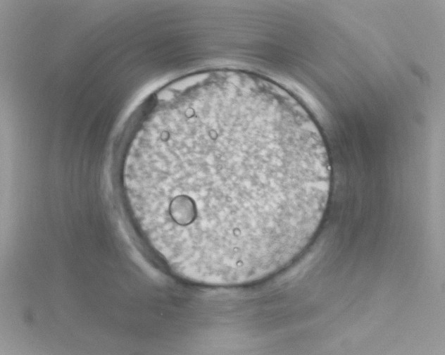 X0000115030902200911231110