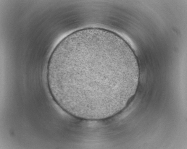 X0000115030903200911231110