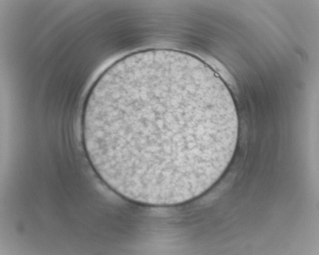 X0000115030904200911231110