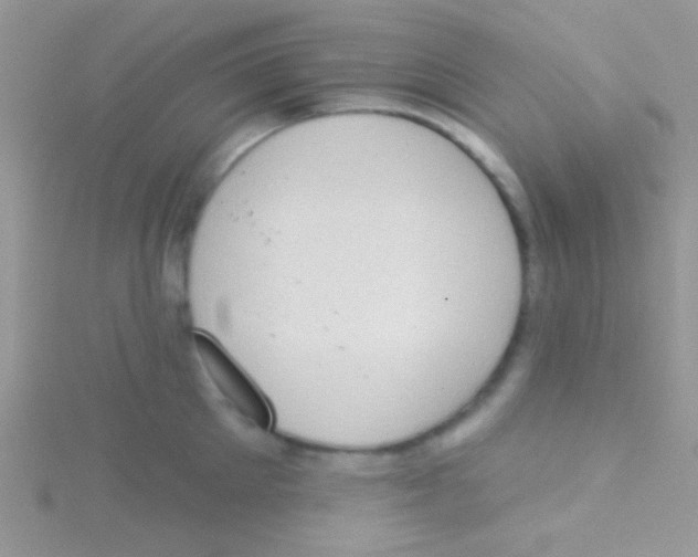 X0000115030905200911231110