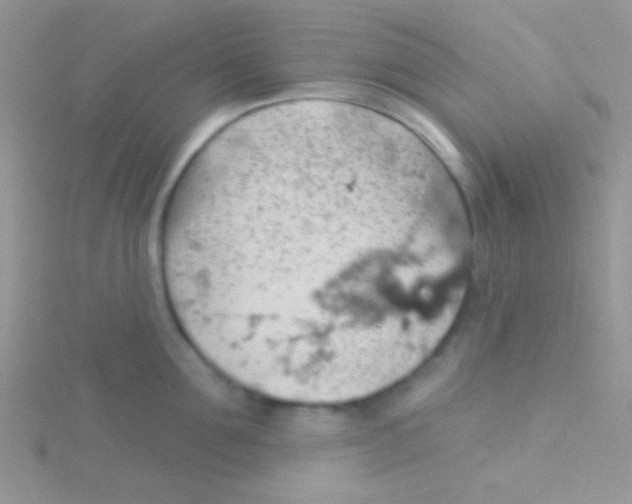 X0000115030907200911231110