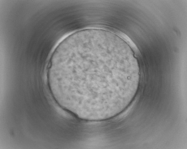 X0000115030908200911231110