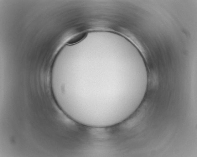 X0000115030909200911231110