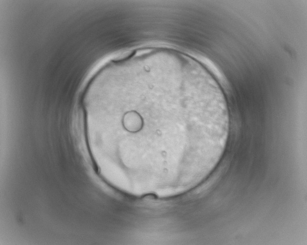 X0000115030910200911231110