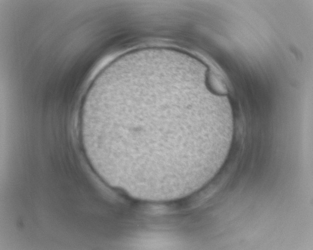 X0000115030911200911231110