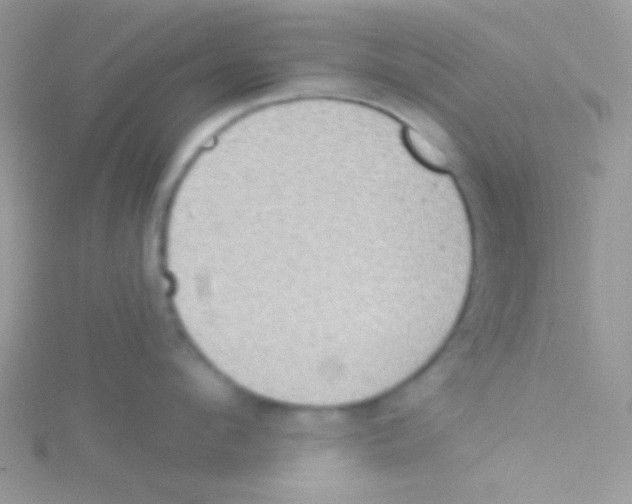 X0000115030912200911231110