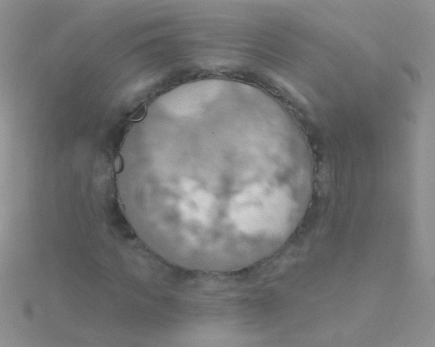 X0000115030917200911231109