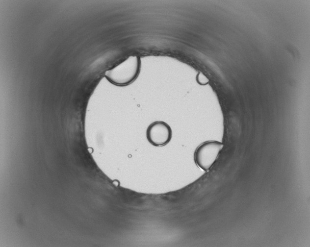 X0000115030918200911231109