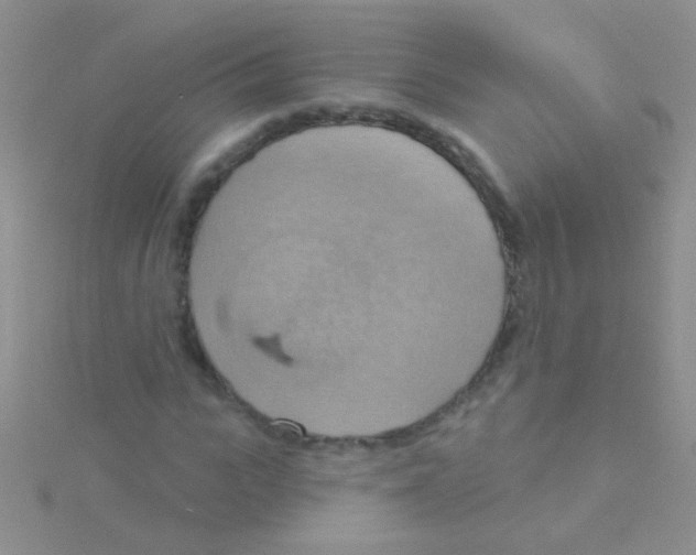 X0000115030919200911231109