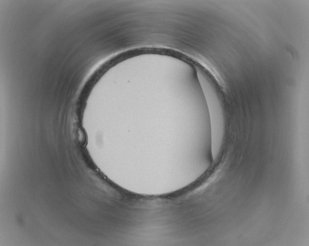 X0000115030926200911231109