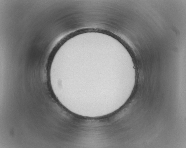 X0000115030927200911231109