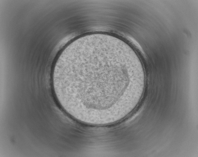 X0000115030930200911231109