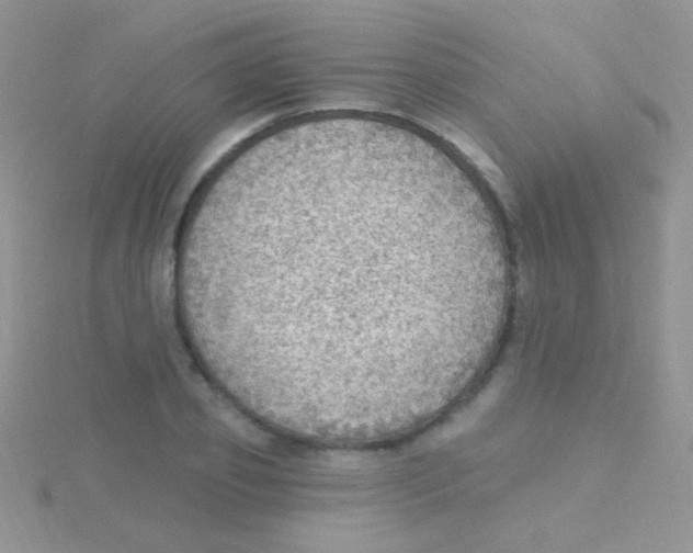 X0000115030933200911231109