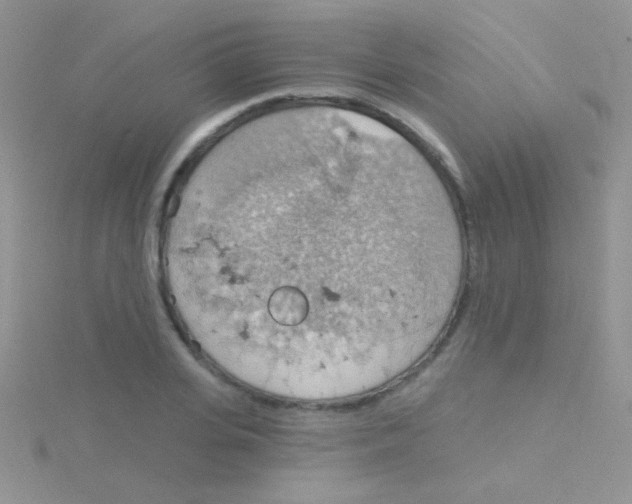 X0000115030935200911231109