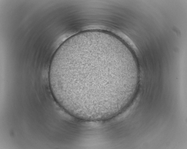 X0000115030937200911231110