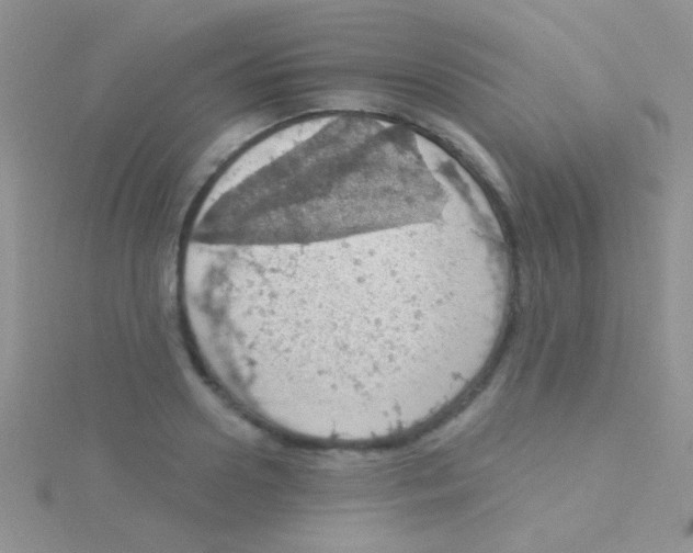 X0000115030938200911231110