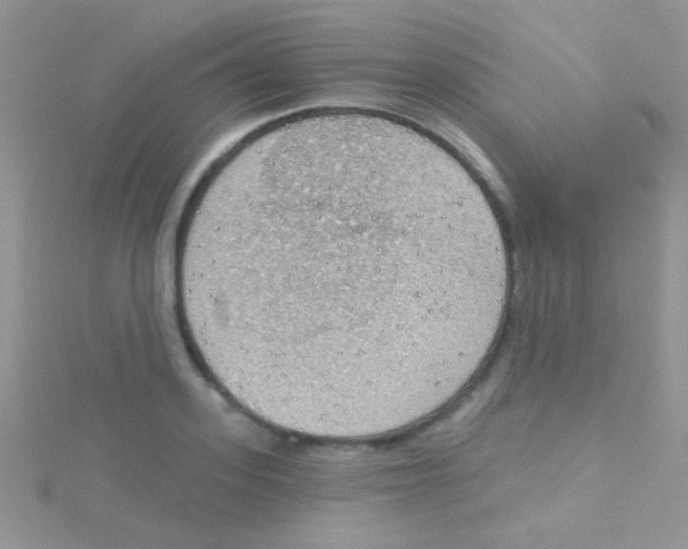 X0000115030939200911231110