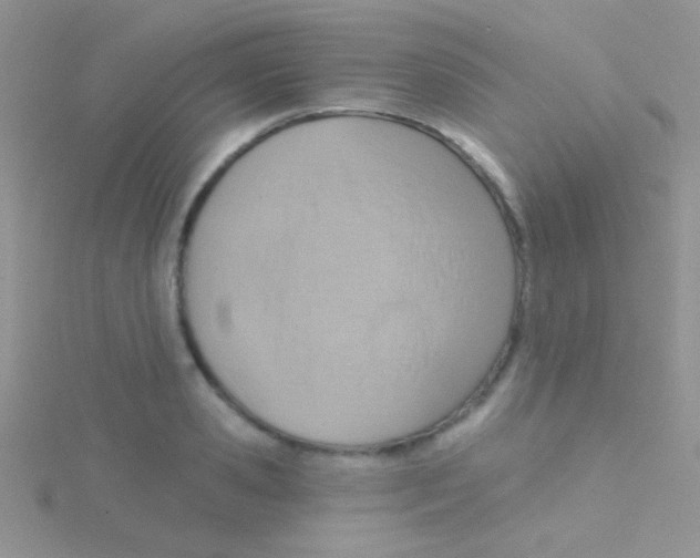 X0000115030941200911231110