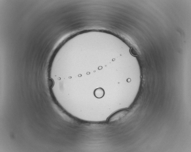 X0000115030942200911231110