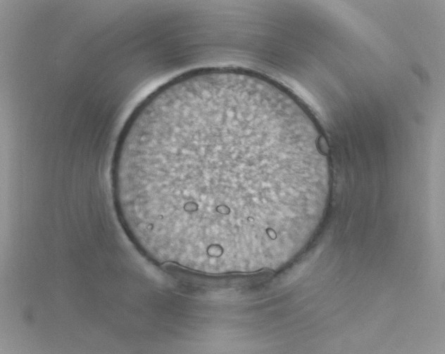 X0000115030943200911231110