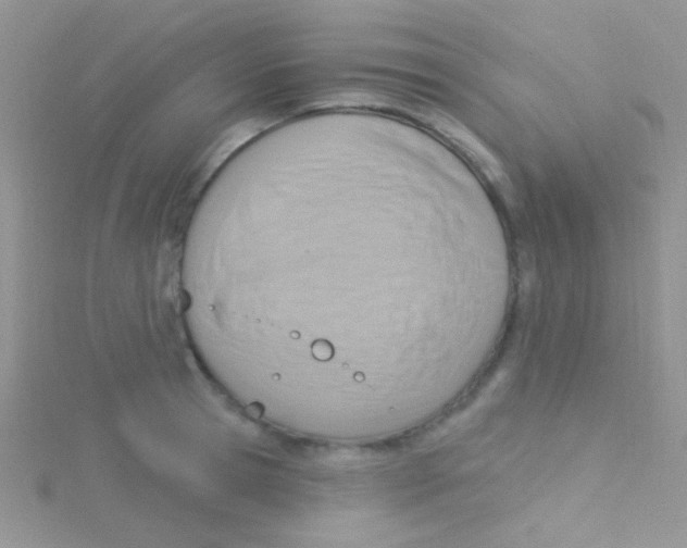 X0000115030945200911231110