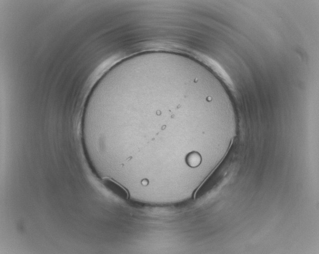 X0000115030946200911231110