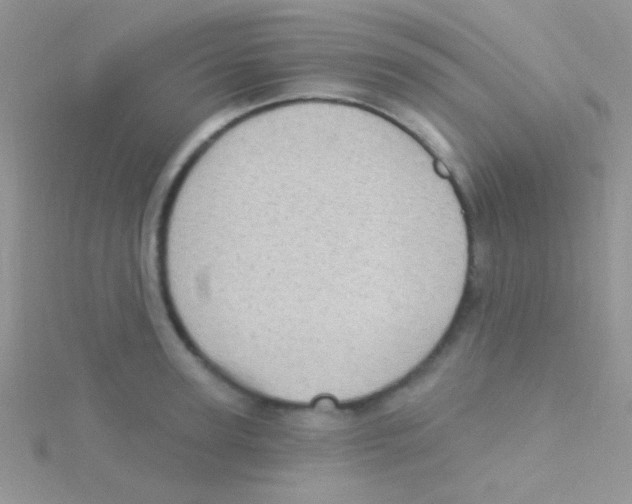 X0000115030947200911231110