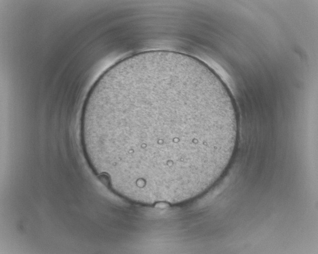 X0000115030949200911231110