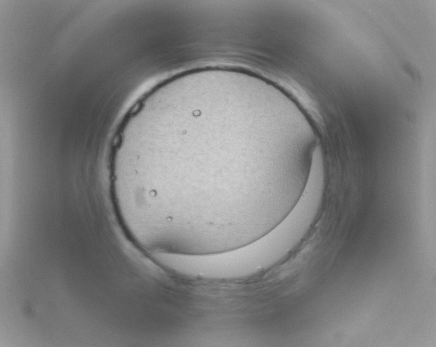 X0000115030950200911231110