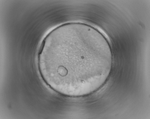 X0000115030951200911231110