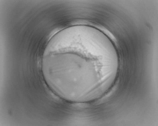 X0000115030953200911231110