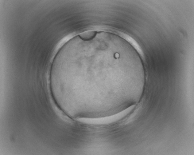 X0000115030954200911231110