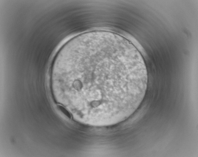 X0000115030955200911231110