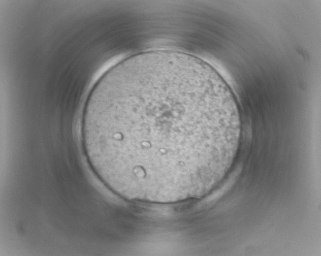 X0000115030957200911231110