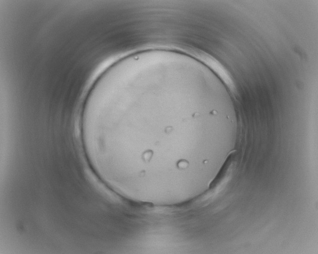 X0000115030958200911231110