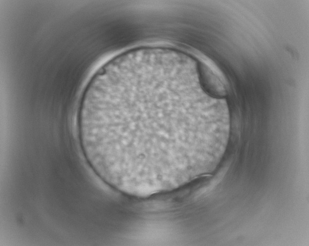 X0000115030959200911231110