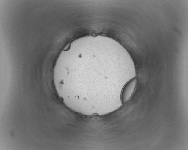 X0000115030961200911231109