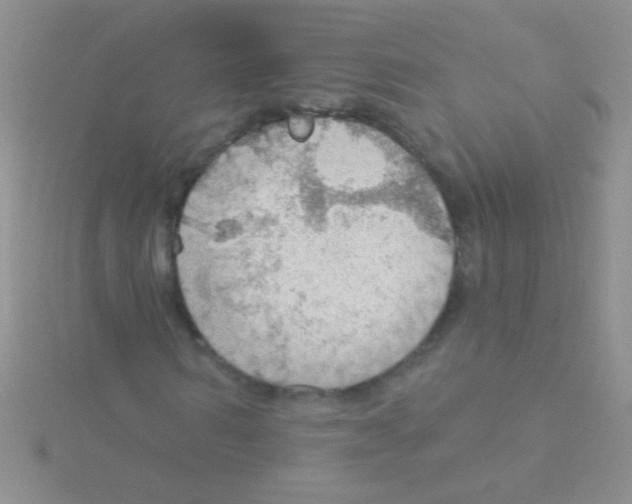 X0000115030962200911231109