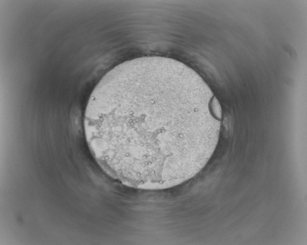 X0000115030963200911231109