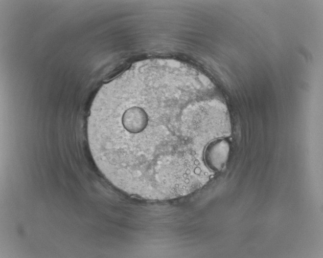 X0000115030964200911231109