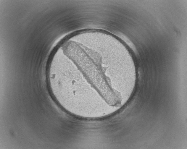 X0000115030972200911231109