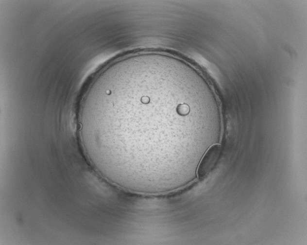 X0000115030973200911231109