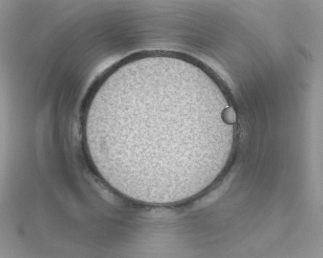 X0000115030974200911231109